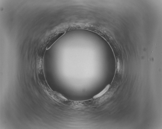 X0000081431492200701261809