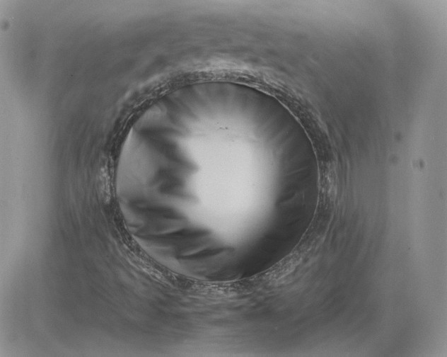 X0000081431493200701261809