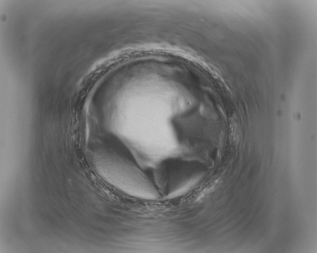 X0000081431494200701261809