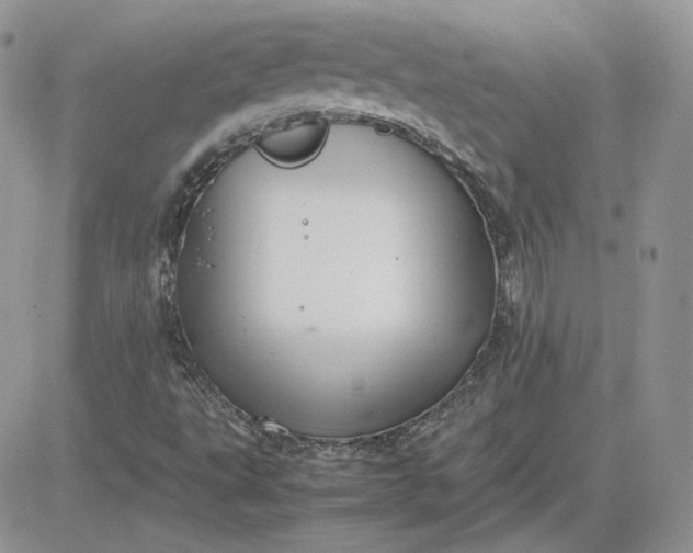 X0000081431495200701261809