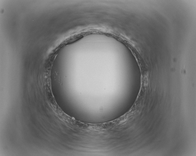 X0000081431496200701261809