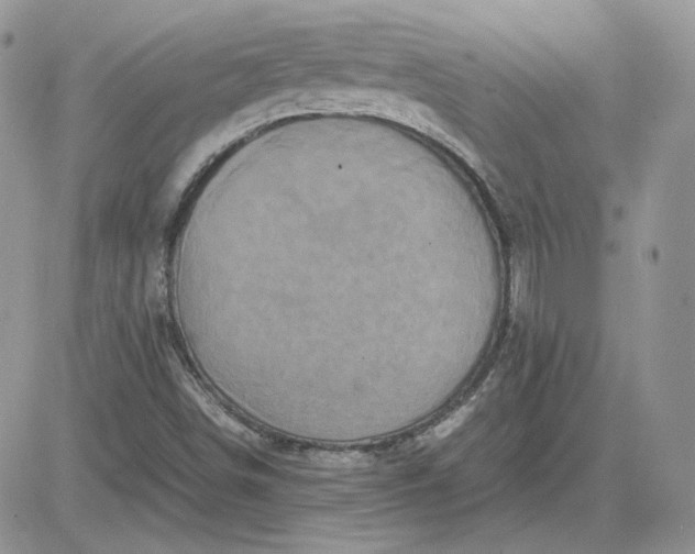 X0000081431498200701261809