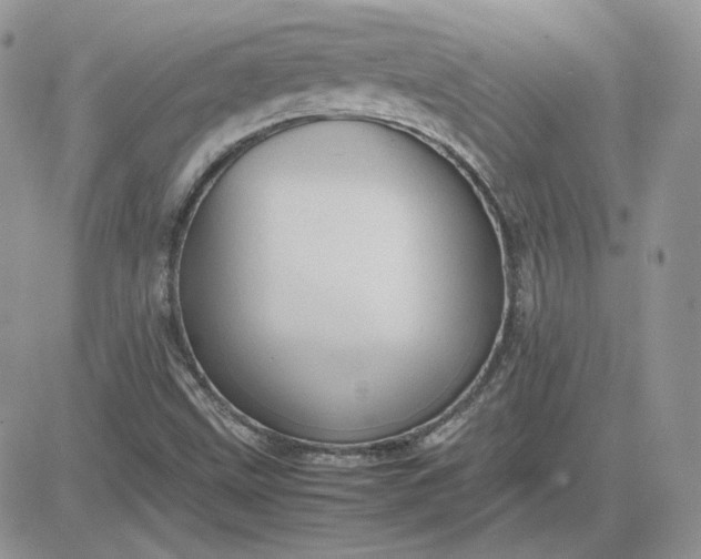 X0000081431499200701261809