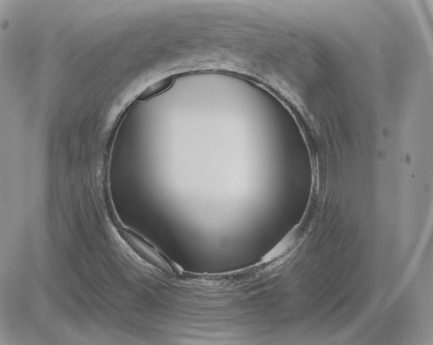 X0000081431500200701261809