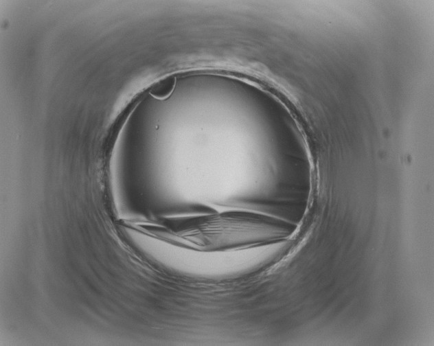 X0000081431501200701261809