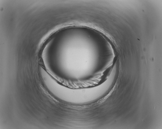 X0000081431502200701261809