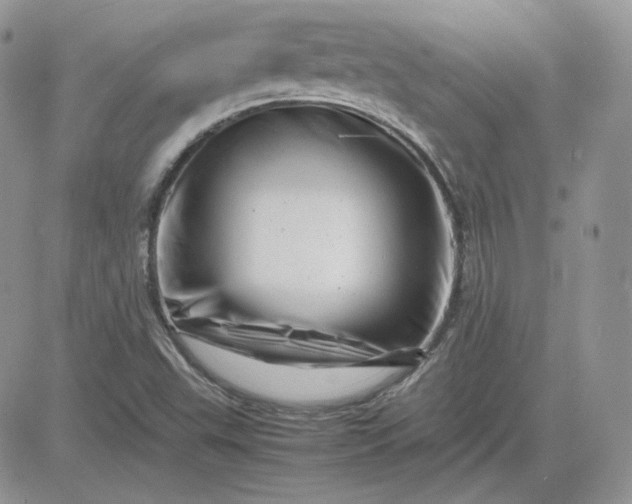 X0000081431503200701261809