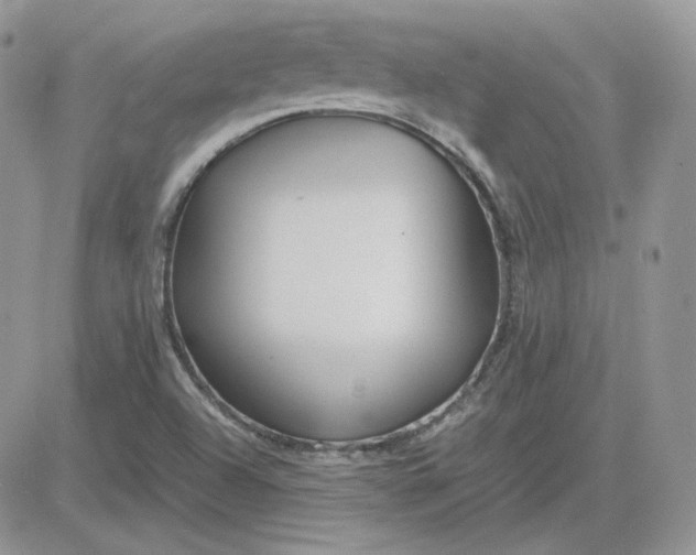 X0000081431504200701261809