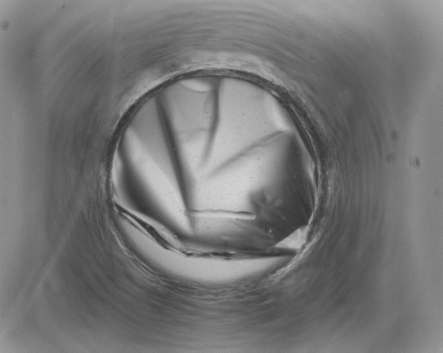 X0000081431505200701261809