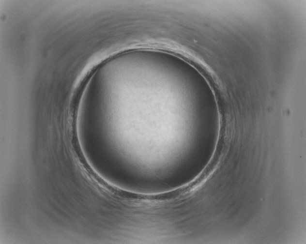 X0000081431506200701261809