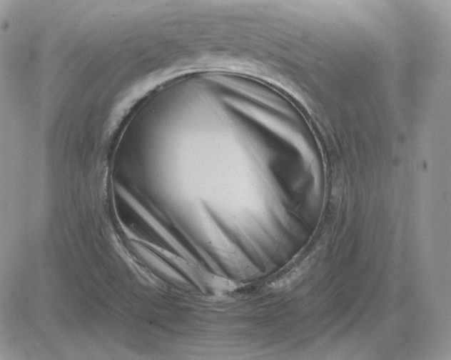 X0000081431507200701261809