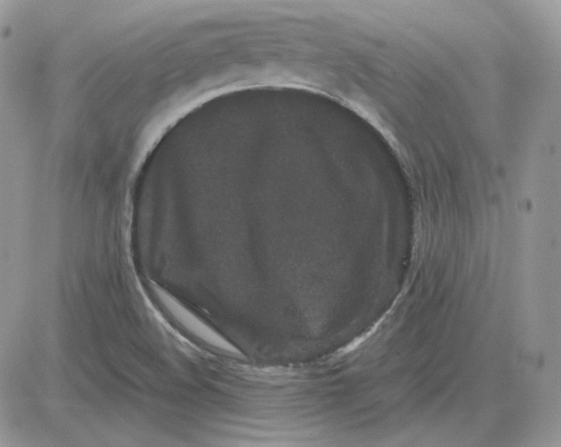 X0000081431508200701261809