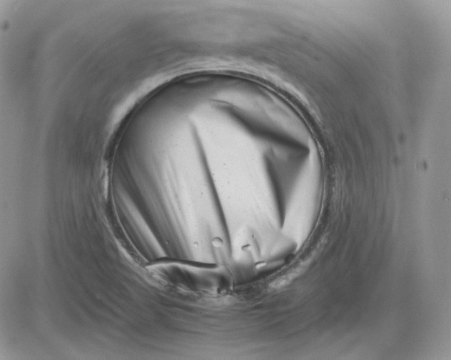 X0000081431509200701261809