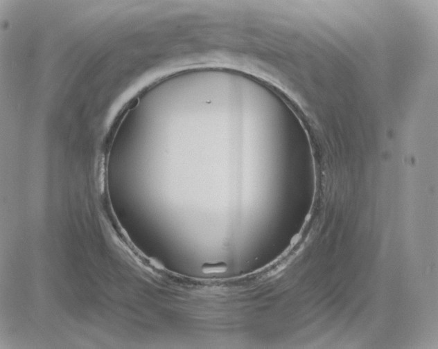 X0000081431510200701261809