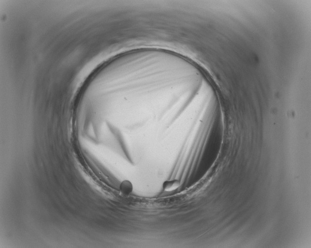 X0000081431511200701261809