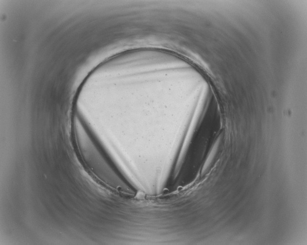 X0000081431512200701261809