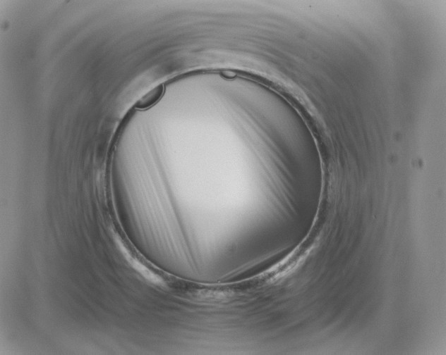 X0000081431513200701261809