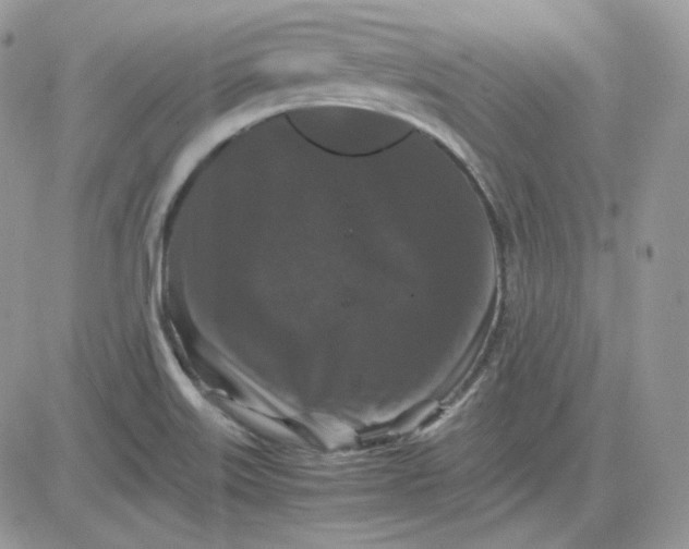 X0000081431515200701261809