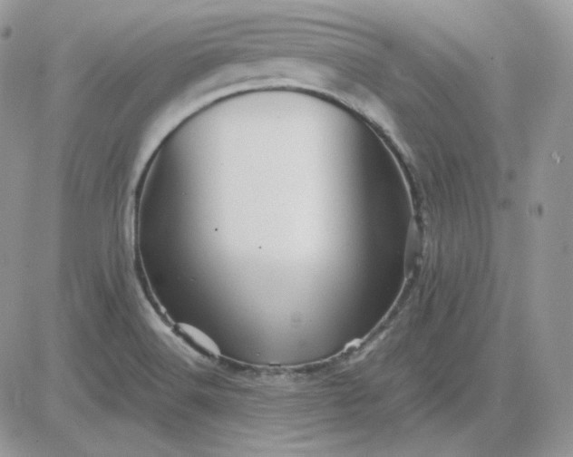 X0000081431516200701261809