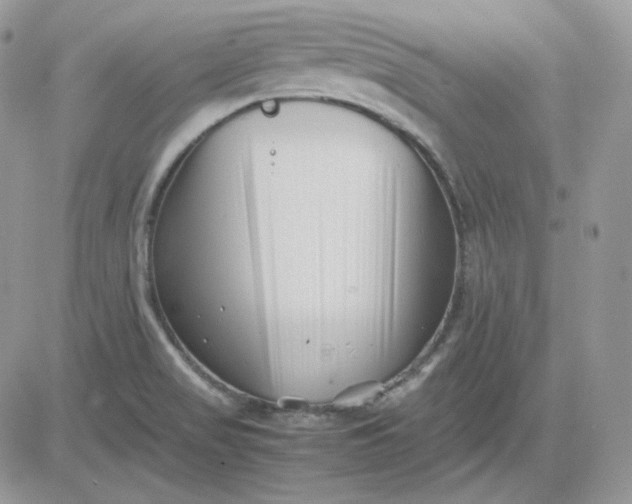 X0000081431517200701261809