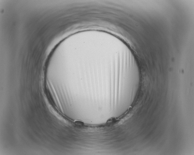 X0000081431518200701261809