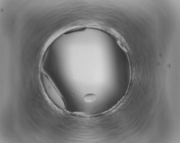 X0000081431520200701261810