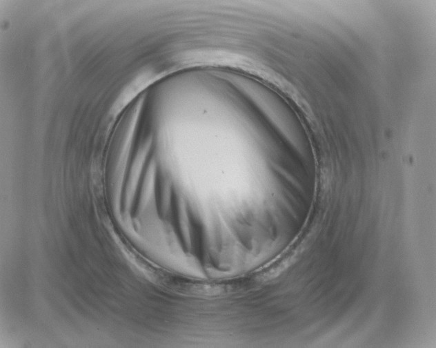 X0000081431521200701261810