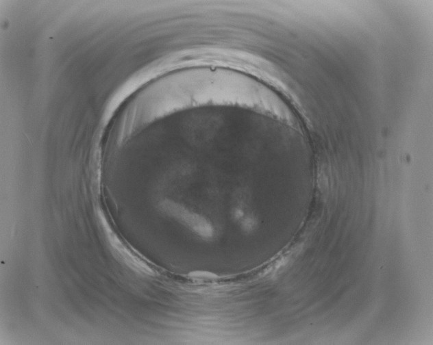 X0000081431522200701261810