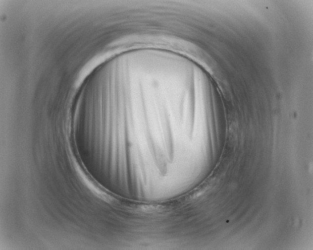 X0000081431523200701261810