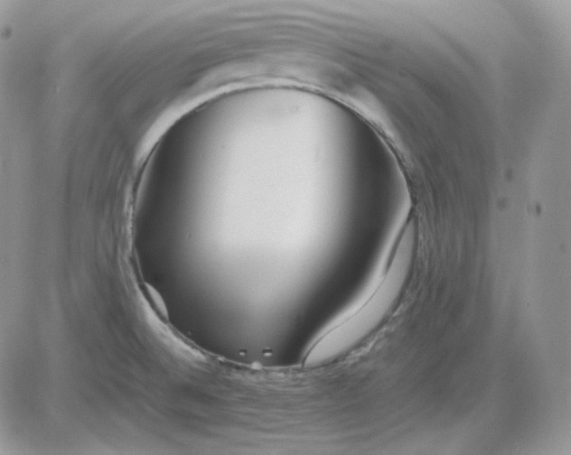 X0000081431524200701261810