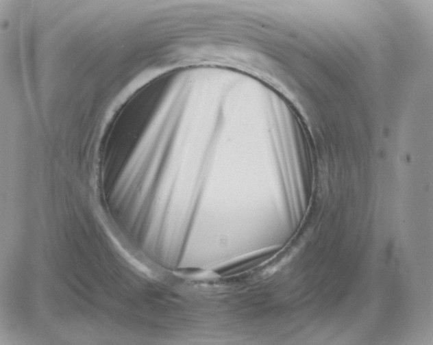 X0000081431525200701261810