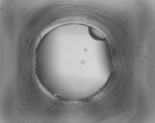 X0000081431526200701261810