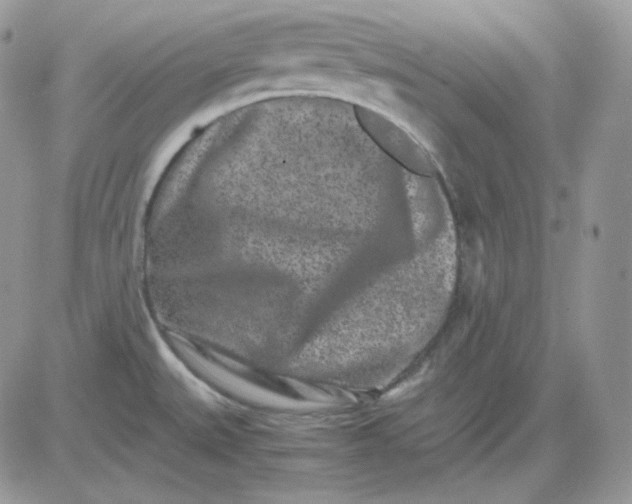 X0000081431527200701261810