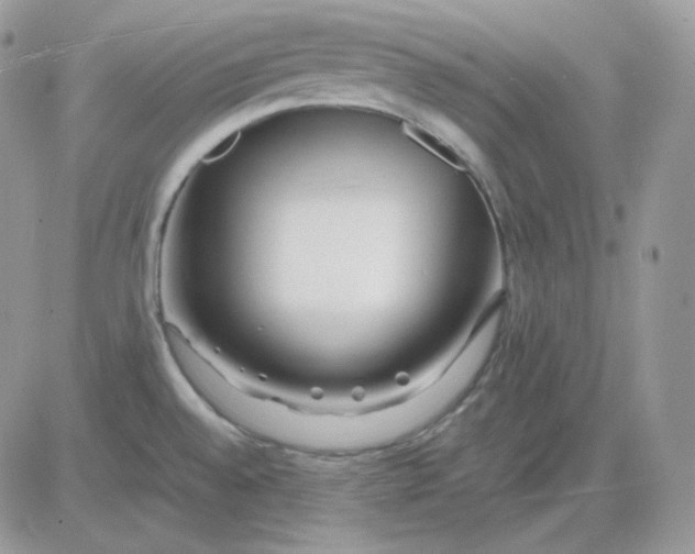 X0000081431528200701261810