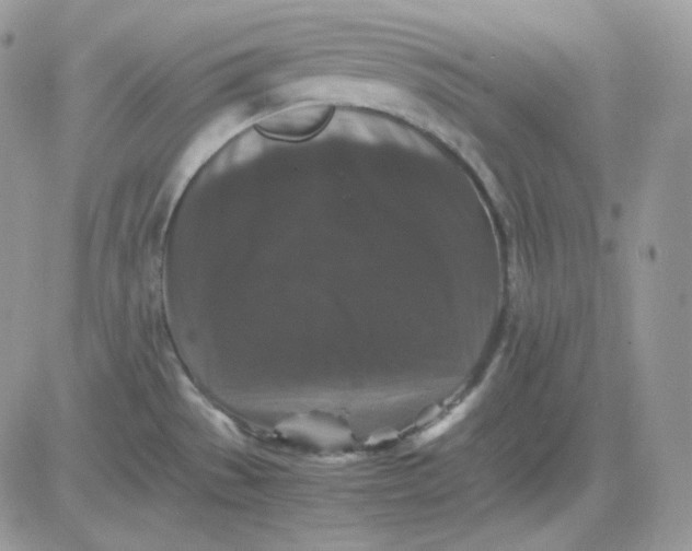 X0000081431529200701261810