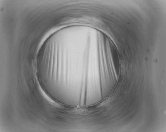 X0000081431531200701261810