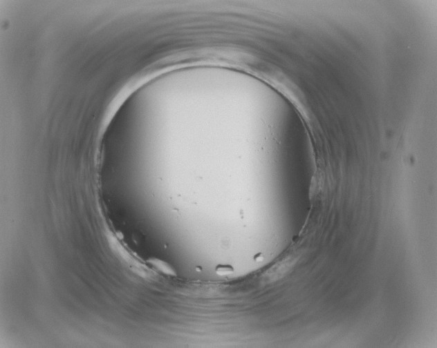 X0000081431532200701261810