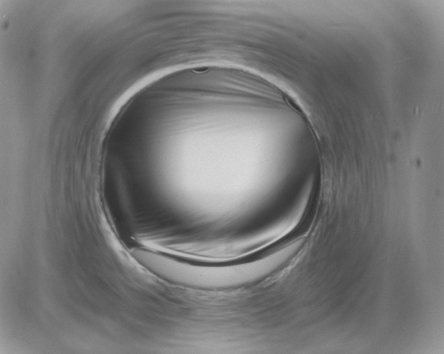 X0000081431534200701261810