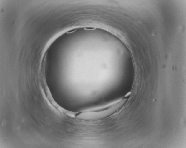 X0000081431536200701261810