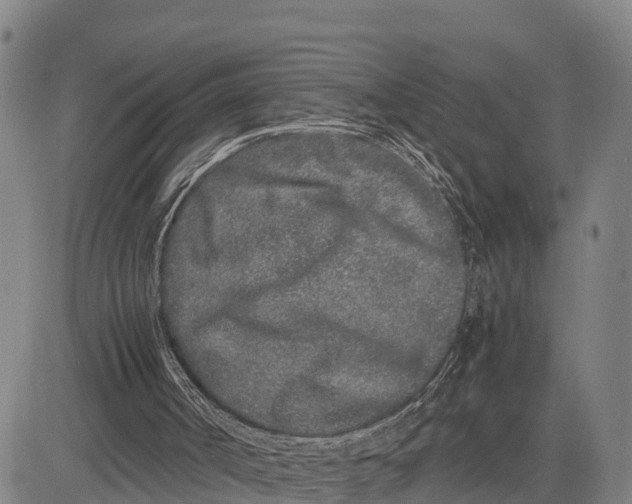 X0000081430002200702021704