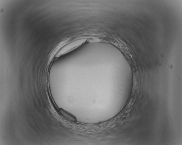 X0000081430003200702021704