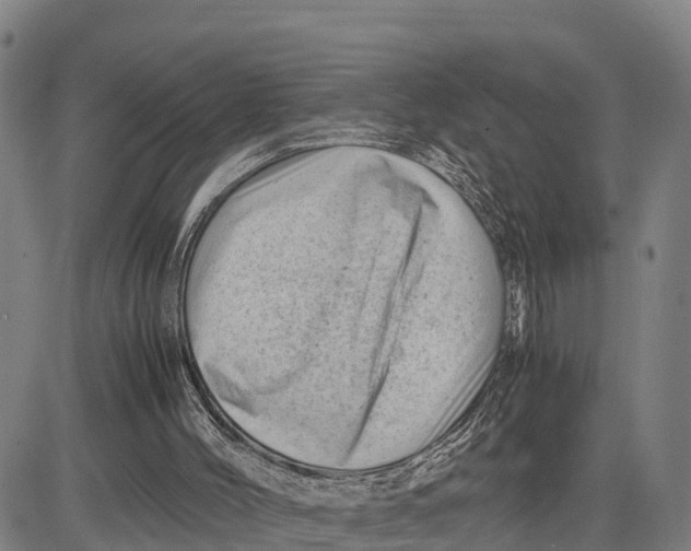 X0000081430004200702021704