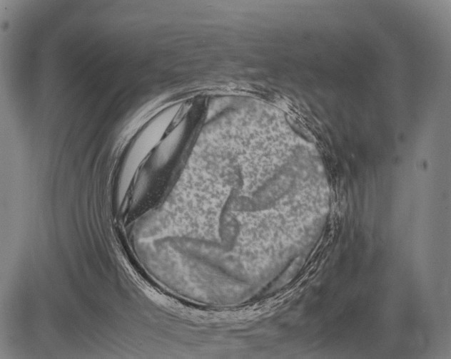 X0000081430005200702021704