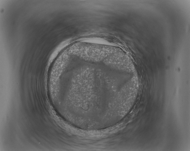 X0000081430006200702021704