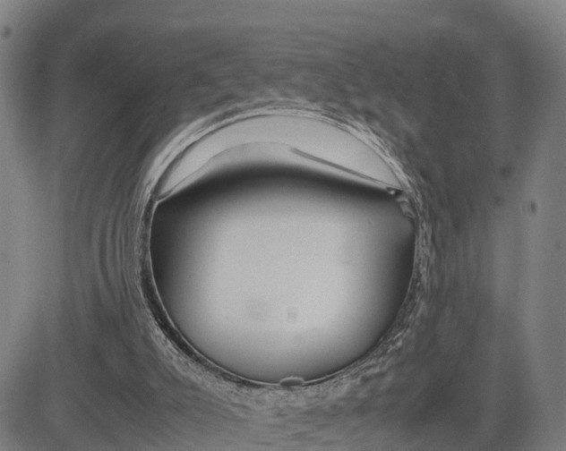 X0000081430007200702021704