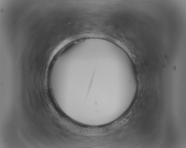 X0000081430008200702021704