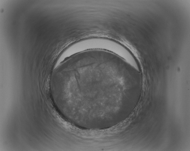 X0000081430009200702021704