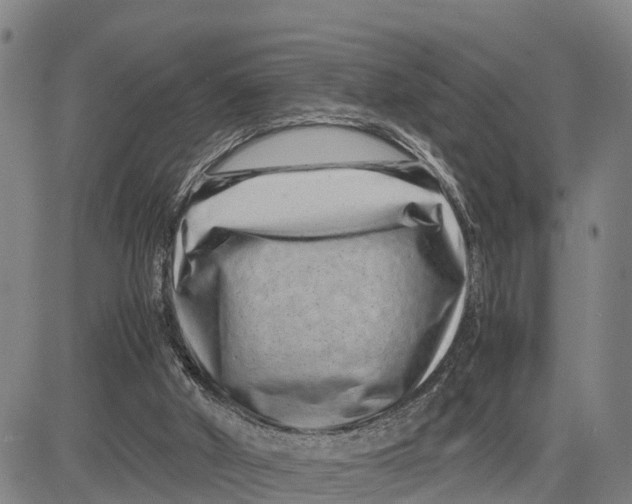 X0000081430010200702021704