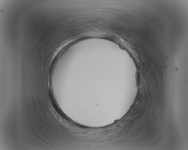 X0000081430011200702021704