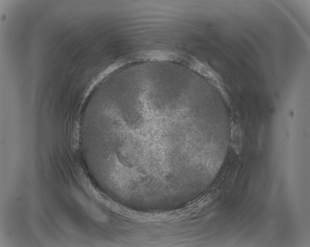 X0000081430012200702021704